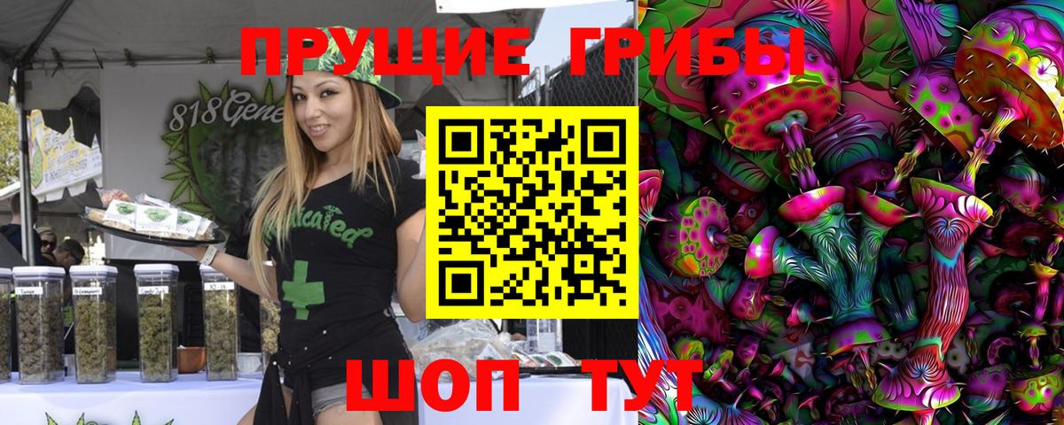 Ейск  Псилоцибиновые грибы мицелий  Вход с VPN 