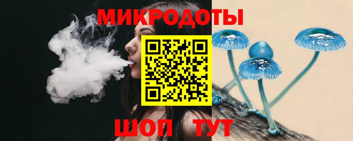 Псилоцибиновые грибы Psilocybine cubensis Ейск